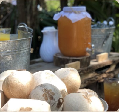 Fresh coconuts and a jar of honey set out at the Bee School site