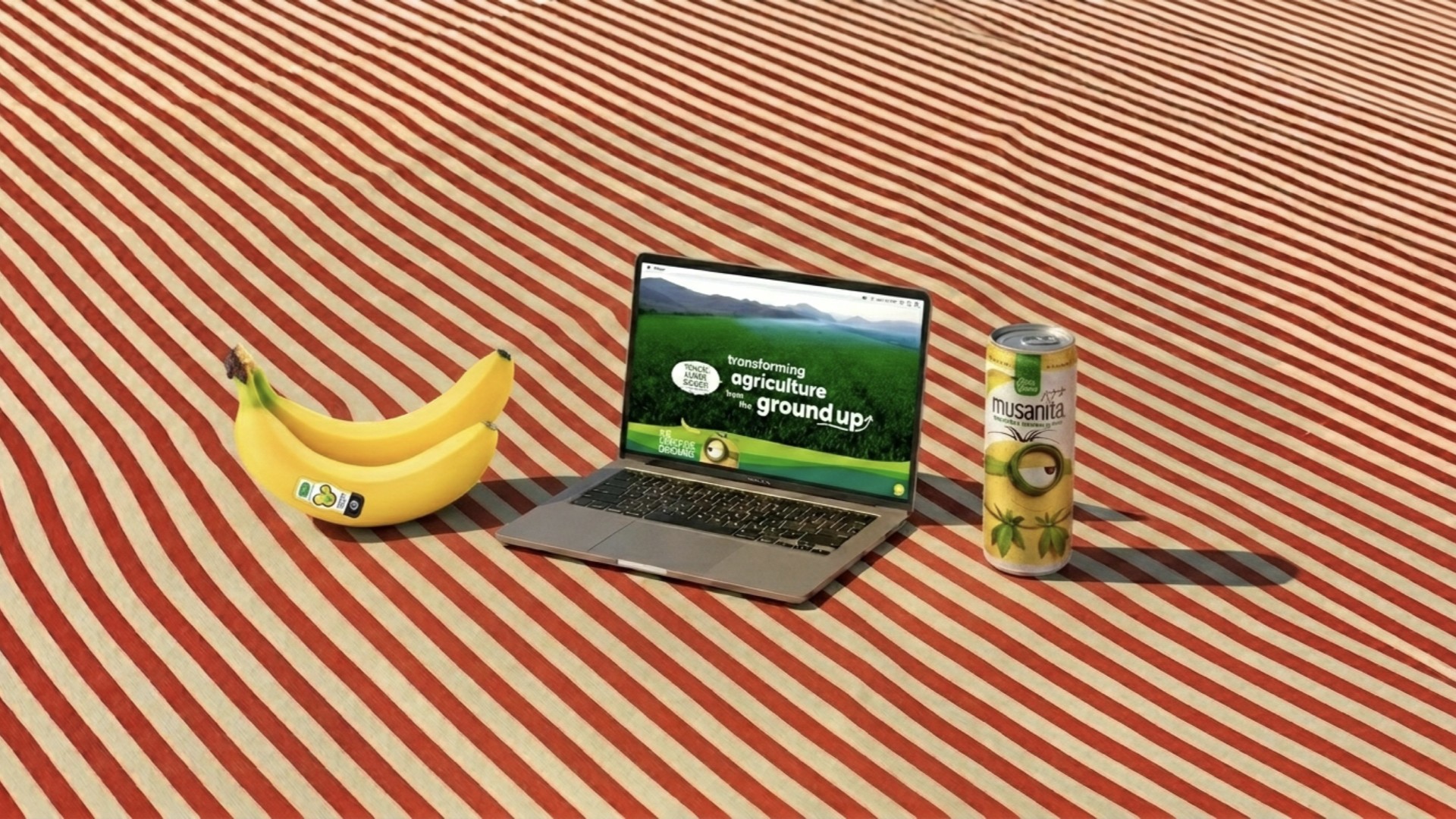 Tropical Organic Growers website on a laptop, transforming agriculture from the ground up, staged with real bananas and a Musanita can
